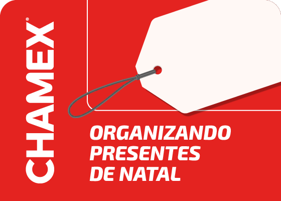 imagem  Organizando presentes de Natal